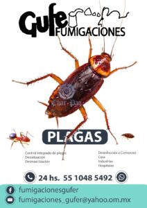 plaga